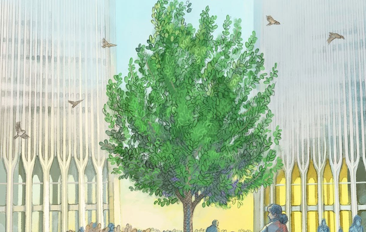 Hear the story of the 9/11 Survivor Tree, a symbol of hope and resilience, E-News